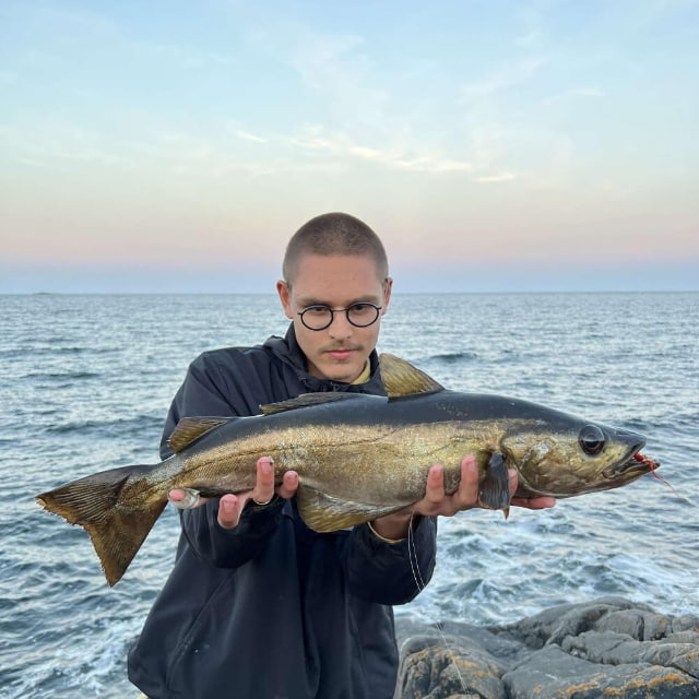 Person holding a large fish by the ocean