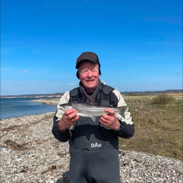 Sea Trout Fly Fishing Guiding in Denmark