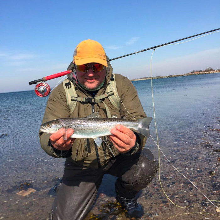 Sea Trout Fly Fishing Guiding in Denmark