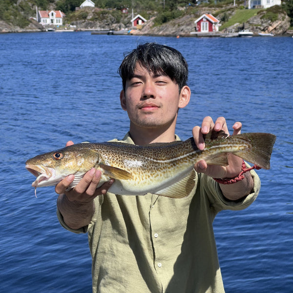 Saltwater Fly Fishing in Southern Norway